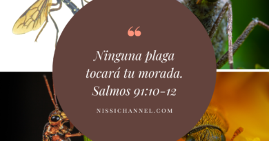 ninguna plaga tocará tu morada