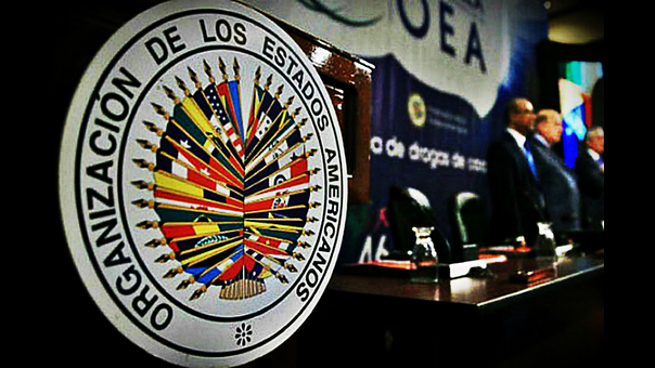 basta ya con la agenda lgtb en la OEA